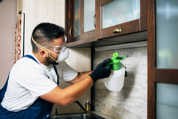 Best Pest Removal Services  in East Wenatchee, WA