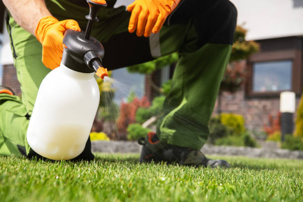 Best Wildlife Control Services  in East Wenatchee, WA