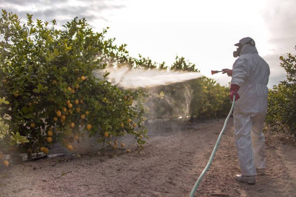 Best Pest Control Cost  in East Wenatchee, WA