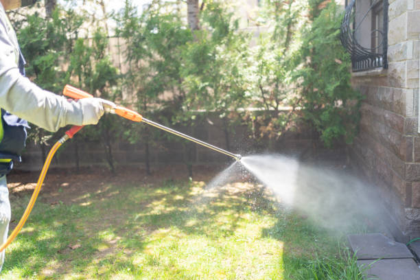 Best Flea Control Services  in East Wenatchee, WA